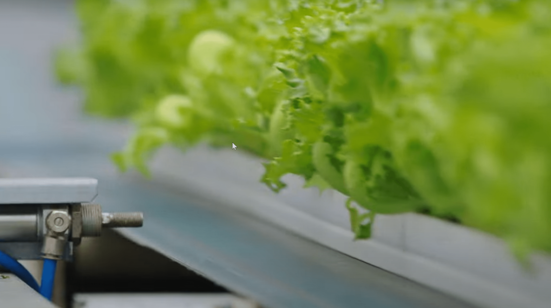 Salad production with Compressed Air